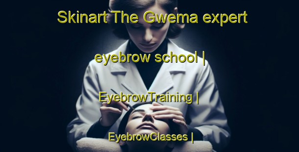 Skinart The Gwema expert eyebrow school | EyebrowTraining | EyebrowClasses | SkinartTraining-Zimbabwe